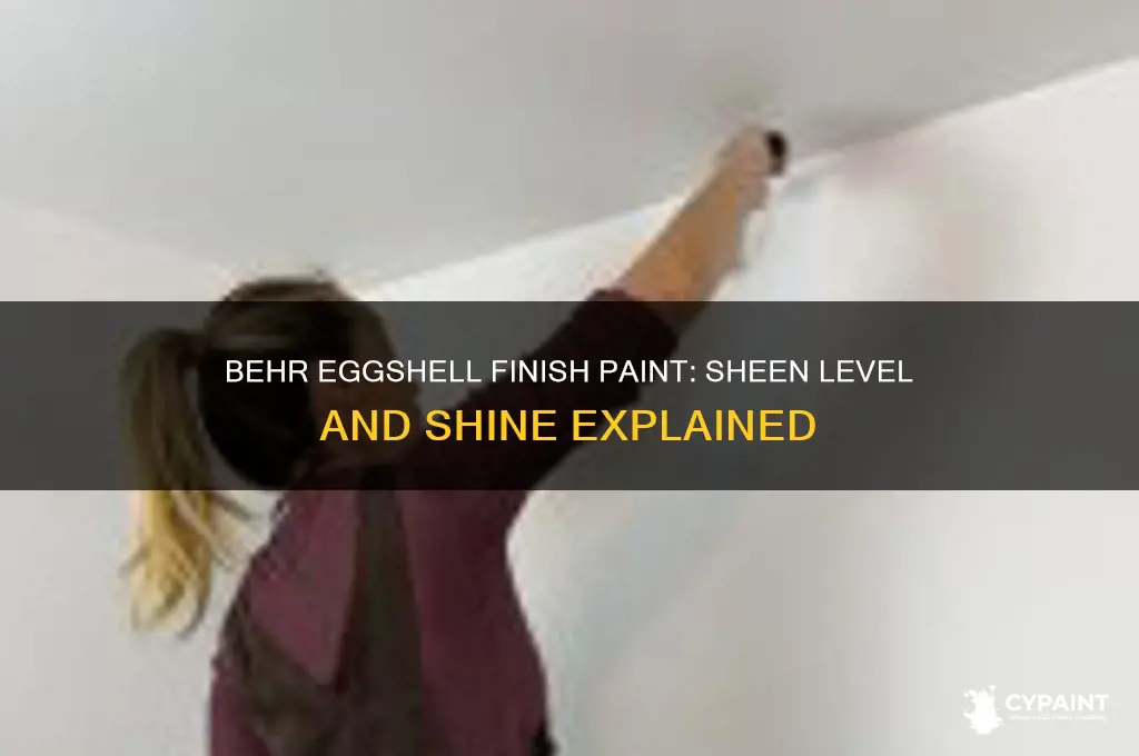 how shiny is behr eggshell finish paint