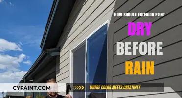 Protecting Your Paint Job: Tips for Drying Exterior Paint Before Rain