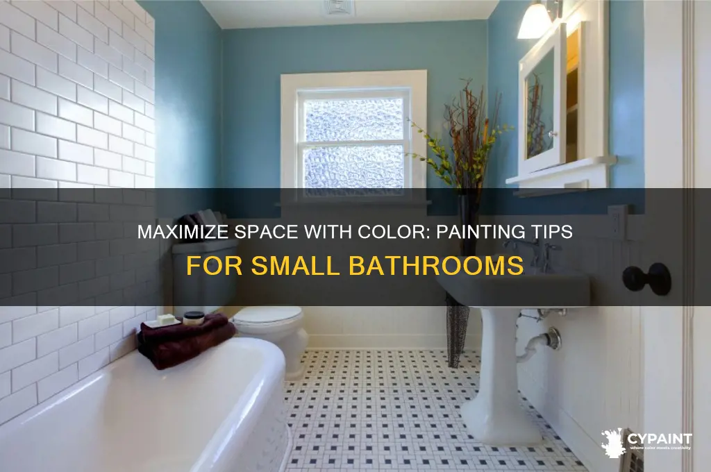 how should i paint a small bathroom