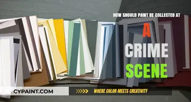Crime Scene Paint Collection: Techniques and Best Practices