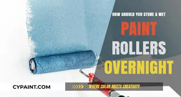 The Best Way to Store Wet Paint Rollers Overnight