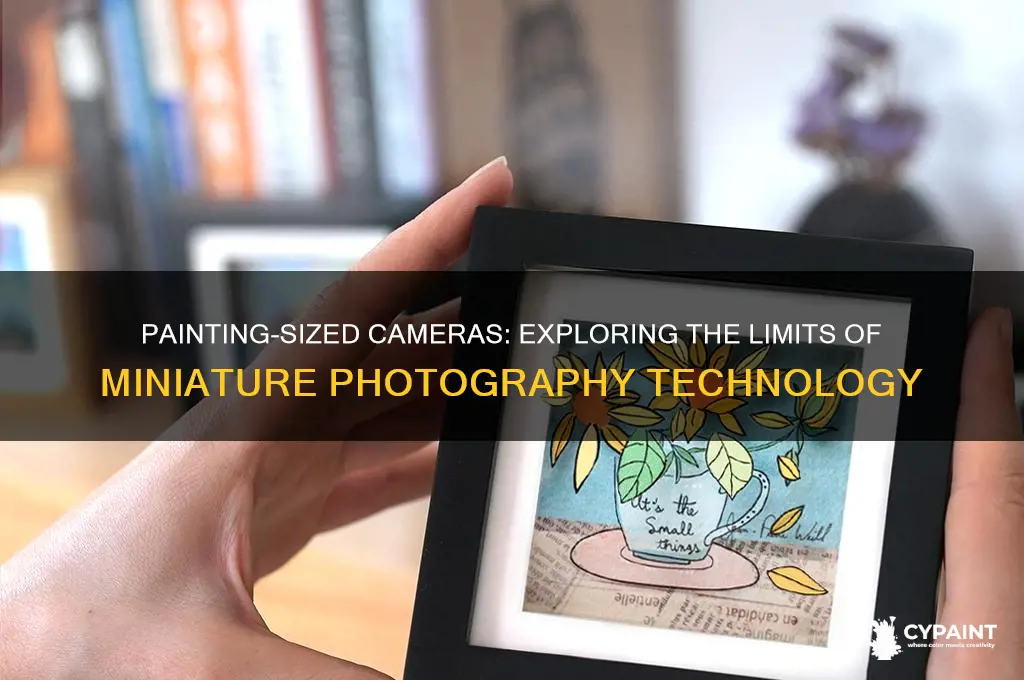 how small is a camera that you can paint on