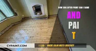 Sanding and Repainting: Timing Tips for Perfect Paint Application
