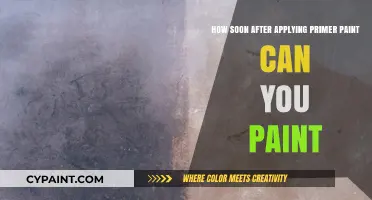 Primer Paint: How Long to Wait Before Painting?