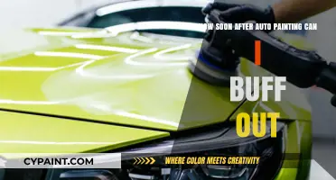 The Best Time to Buff Out After Auto Painting