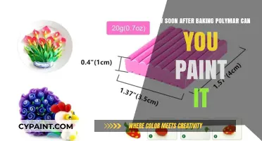 Best Time to Paint Polymar: Post-Baking Painting Tips