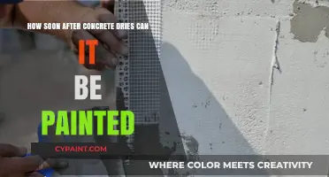 When Can Fresh Concrete Be Painted?