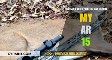 Safe AR-15 Shooting Post-Painting: Timing and Precautions Explained