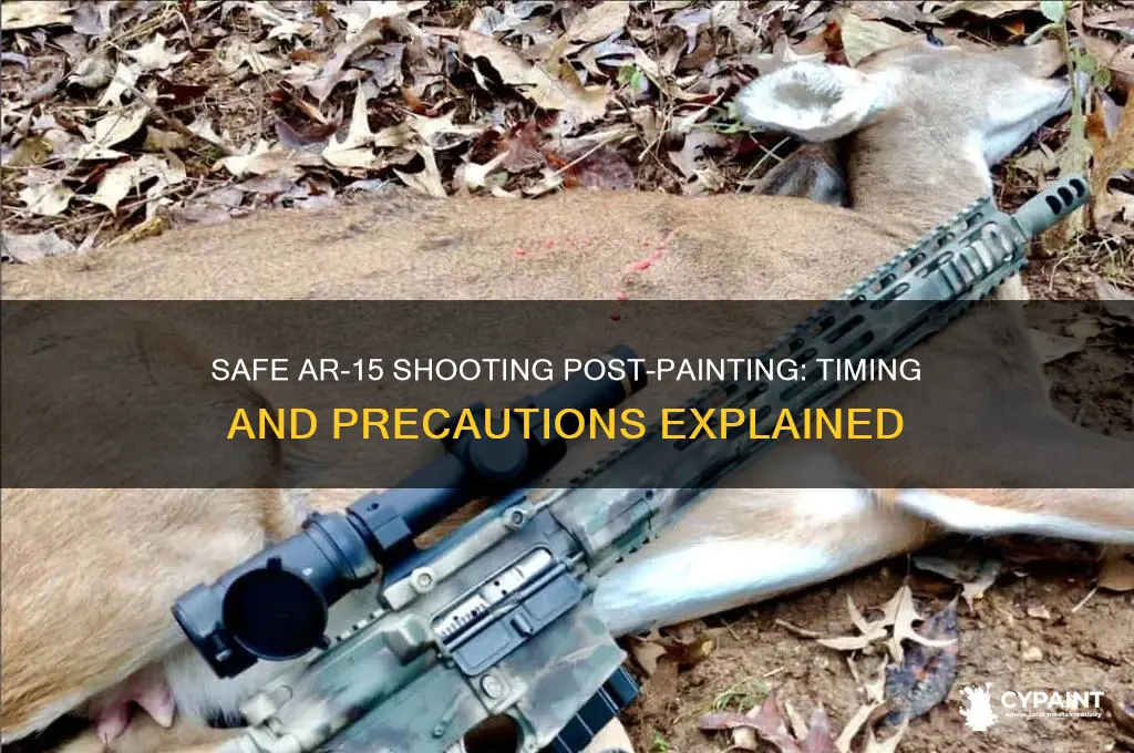 how soon after painting can i shoot my ar 15