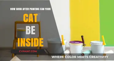 Keep Your Cat Away Post-Painting: Here's How Long