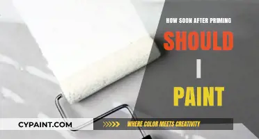 Perfect Timing: When to Paint After Priming for Best Results