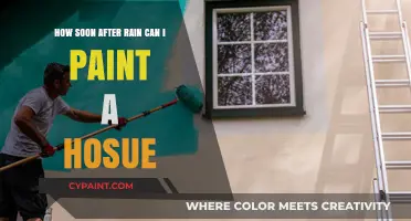 Best Time to Paint Your House After Rain