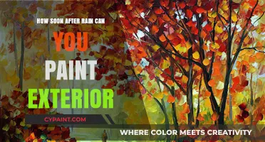 Revamping Your Home's Look: Painting After Rainfall - What You Need to Know