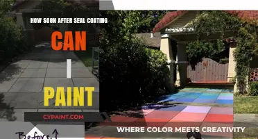 Revamping Your Driveway: Painting After Seal Coating - What You Need to Know