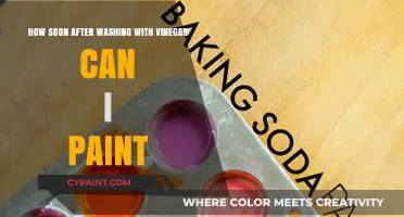 Vinegar Washing: How Long Before Painting?