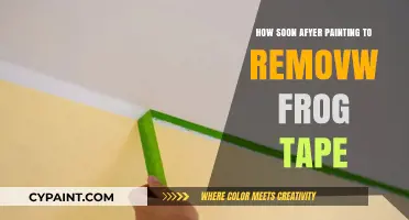 Perfect Timing: Removing Frog Tape After Painting Without Ruining Your Work
