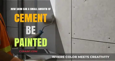Quick Cement Painting: Timing Tips for Small Projects