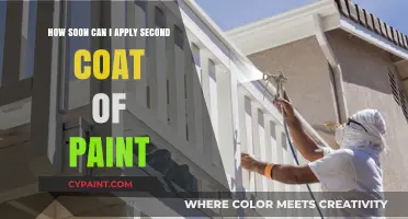 The Perfect Timing for a Second Coat of Paint