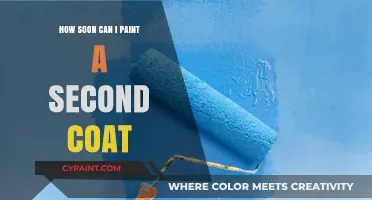 Mastering the Art of Second Coats: A Painter's Guide