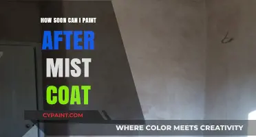 Painting After Mist Coat: Optimal Timing for Perfect Results