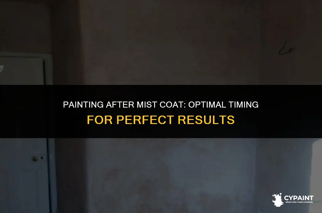 how soon can i paint after mist coat