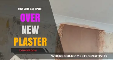 Fresh Plaster to Painted Walls: A Speedy Guide