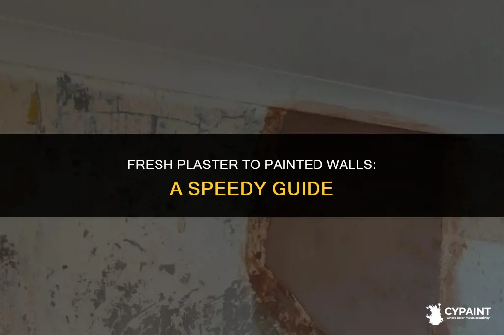 how soon can i paint over new plaster