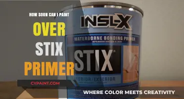 Painting Over Stix Primer: Timing and Tips for a Flawless Finish