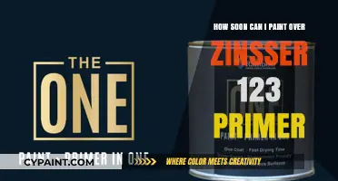 Primer Perfection: Painting Over Zinsser 123 Primer