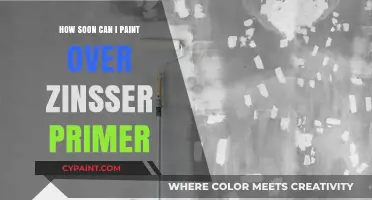 Painting Over Zinsser Primer: Timing and Tips for a Flawless Finish