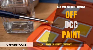 Quick Guide: Unmasking DCC Paint Jobs