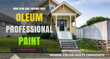 Quick Refurbishing: Rust-Oleum Professional Paint Redo Tips