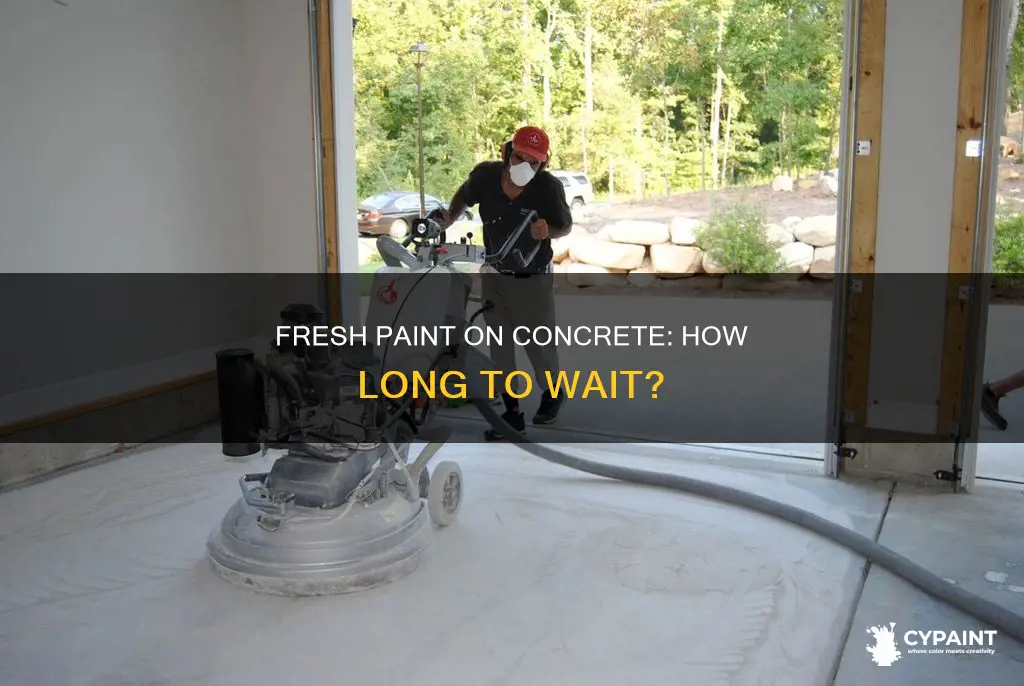 how soon can i user lasted paint on concrete