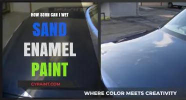 Achieving a Flawless Finish: When to Wet Sand Enamel Paint