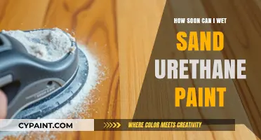 Mastering the Art of Wet Sanding Urethane Paint: A Comprehensive Guide
