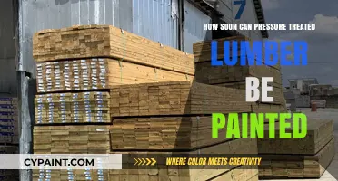 Painting Pressure-Treated Lumber: Timing and Tips for a Flawless Finish
