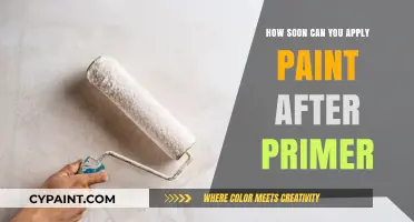 Primer to Paint: The Optimal Waiting Time for a Flawless Finish