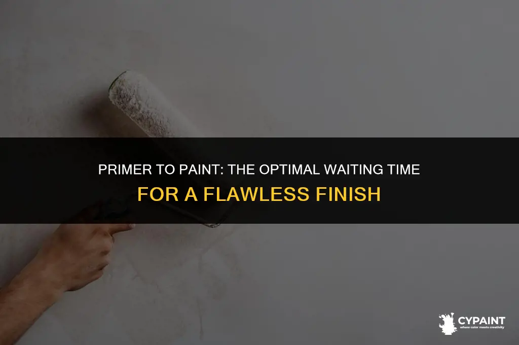 how soon can you apply paint after primer