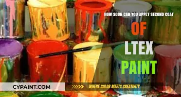 Applying Second Coat of Latex Paint: Timing Tips for Best Results