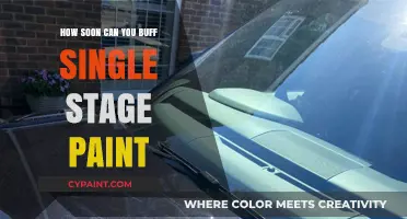 Revamping Your Ride: The Quick Guide to Single-Stage Paint Buffing