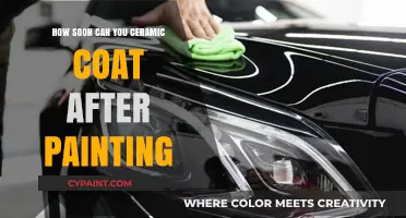 Optimal Timing for Ceramic Coating Post-Paint: A Comprehensive Guide