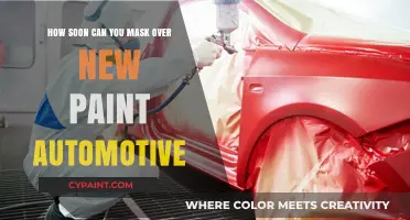 Fresh Automotive Paint: Masking Timeframe Explored