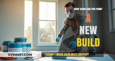 Fresh Foundations: When to Paint Your New Construction Home