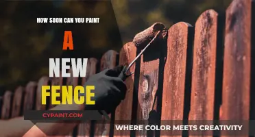 Fresh Coat, Fresh Look: Timing Your New Fence Painting Project