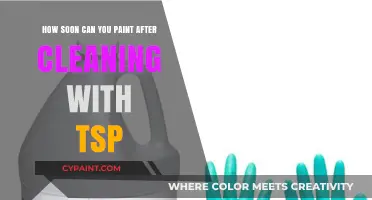 When to Paint After Cleaning with TSP?
