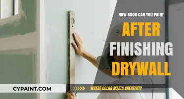 From Drywall to Masterpiece: The Optimal Painting Timeline