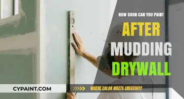 From Mud to Masterpiece: The Drywall Painting Timeline Explained