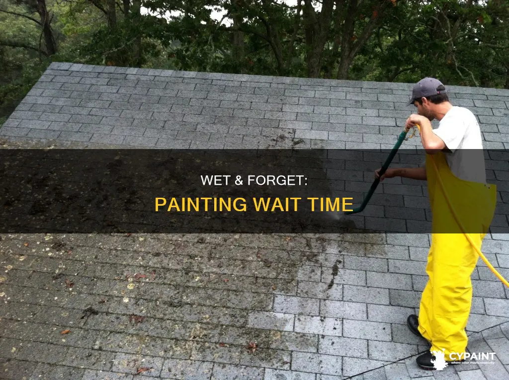 how soon can you paint after wet and forget
