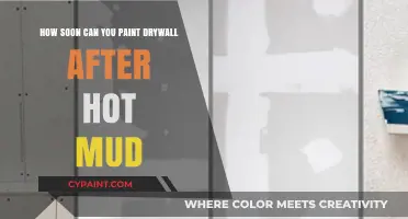 Mudding and Painting Drywall: How Soon Can You Paint?