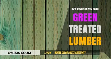 Revamping Your Outdoor Space: Painting Green Treated Lumber
